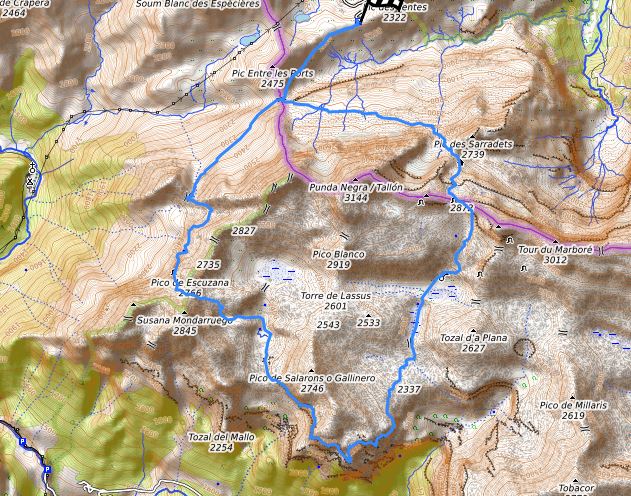 Carte vire des fleurs